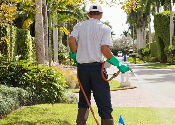 About Jasper NY Pest Control